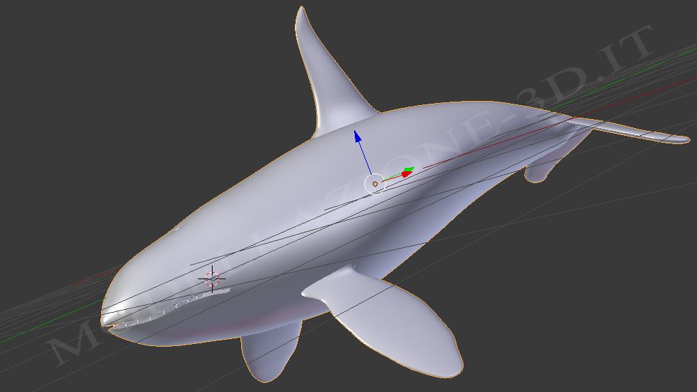 Orca 3D modellazione ed animazione in mare